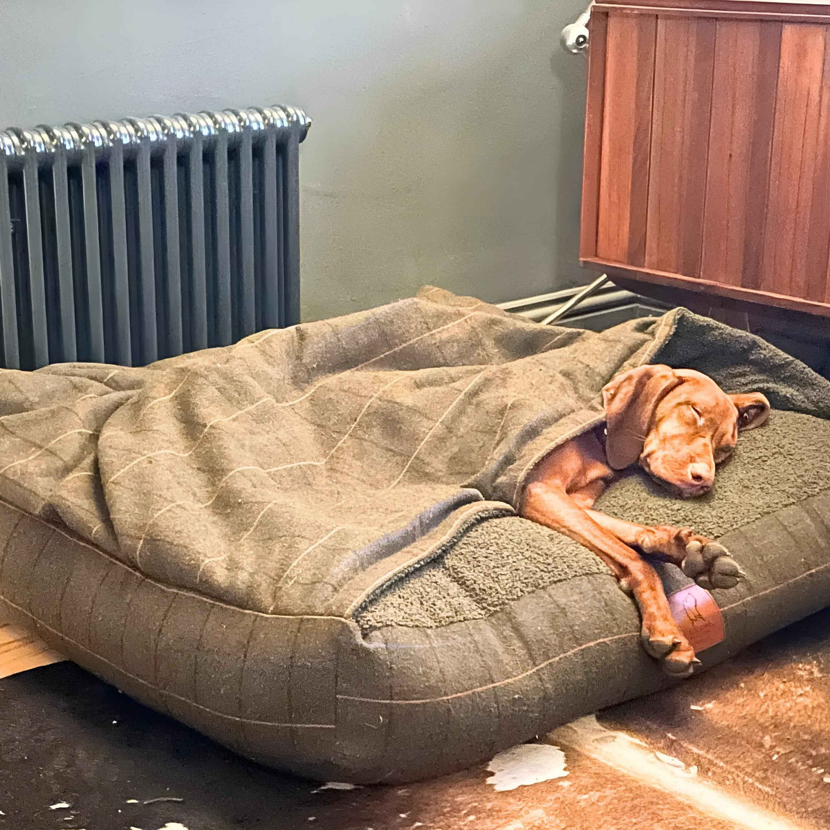 Green tweed hooded dog bed with cosy fleece-lined sleeping area