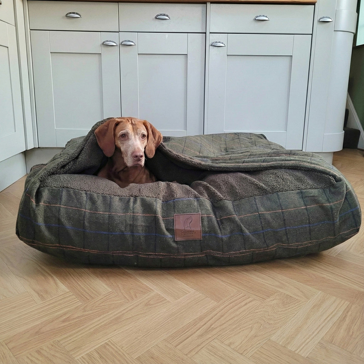 Collared Creatures green tweed luxury dog snuggle bed with soft hooded cover