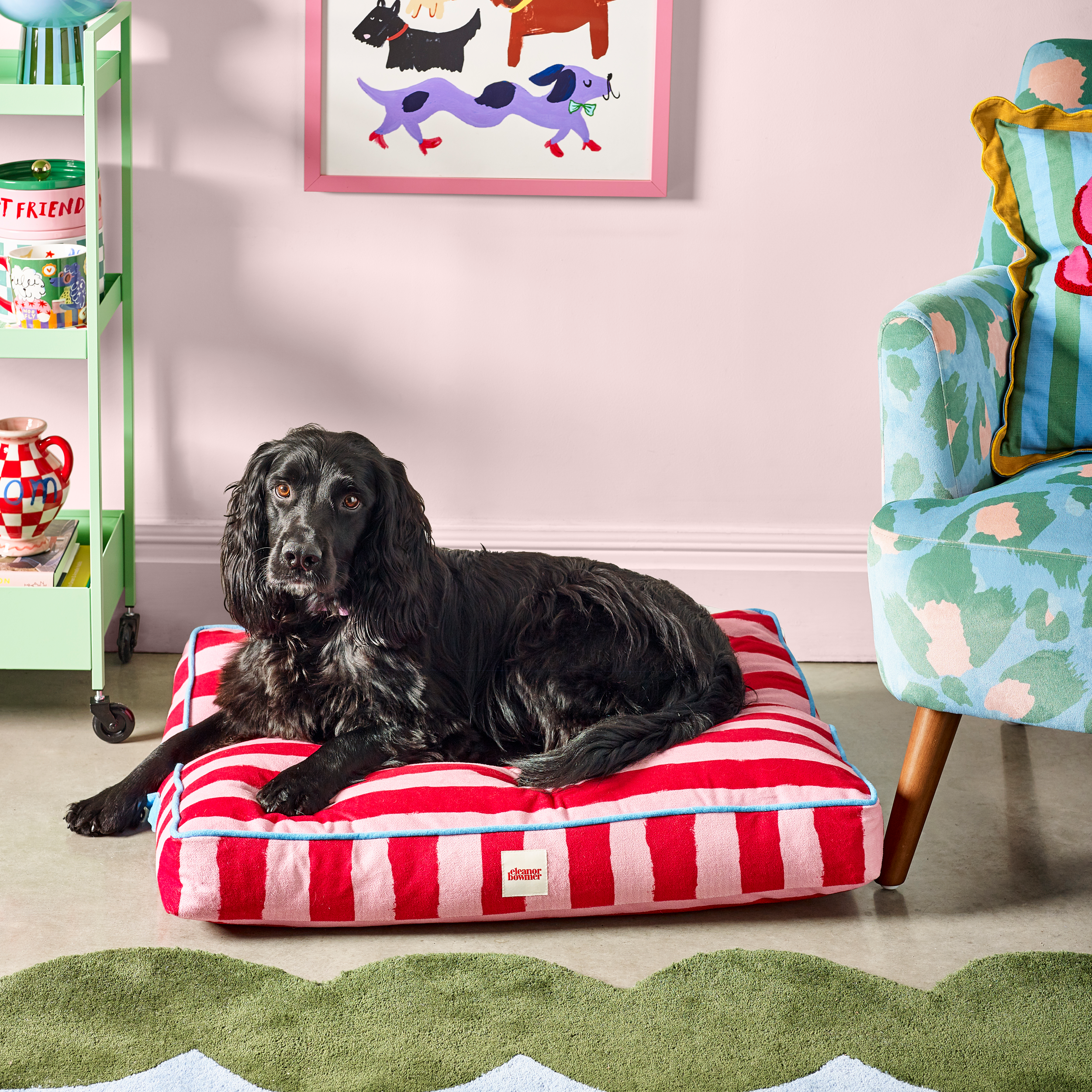 Dog lying on a red and white striped pet bed in a room with a colorful chair and a shelf.