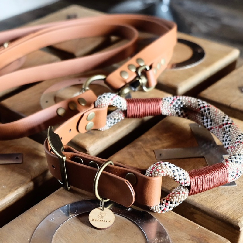 Two leather dog collars and matching leashes displayed on a rustic wooden surface. One collar is tan and the other is brown, both featuring brass hardware and a woven red, white, and black patterned rope accent.