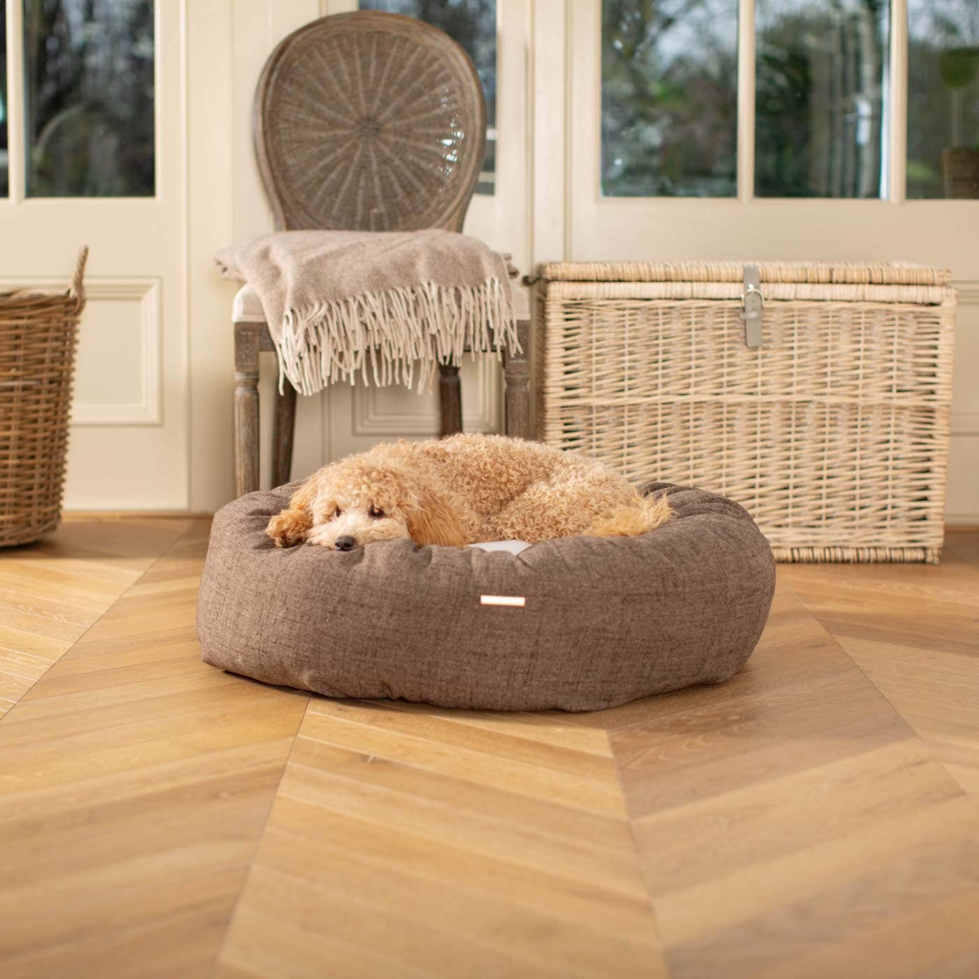 Dog lying on a brown dog bed in a room with wooden floor and wicker furniture.