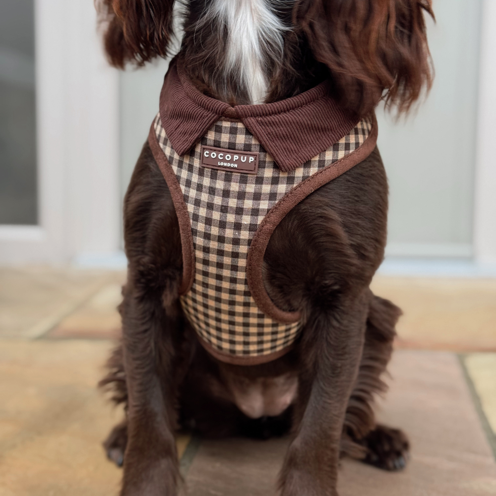 Cotswold Check dog walking harness with adjustable neck and chest straps.