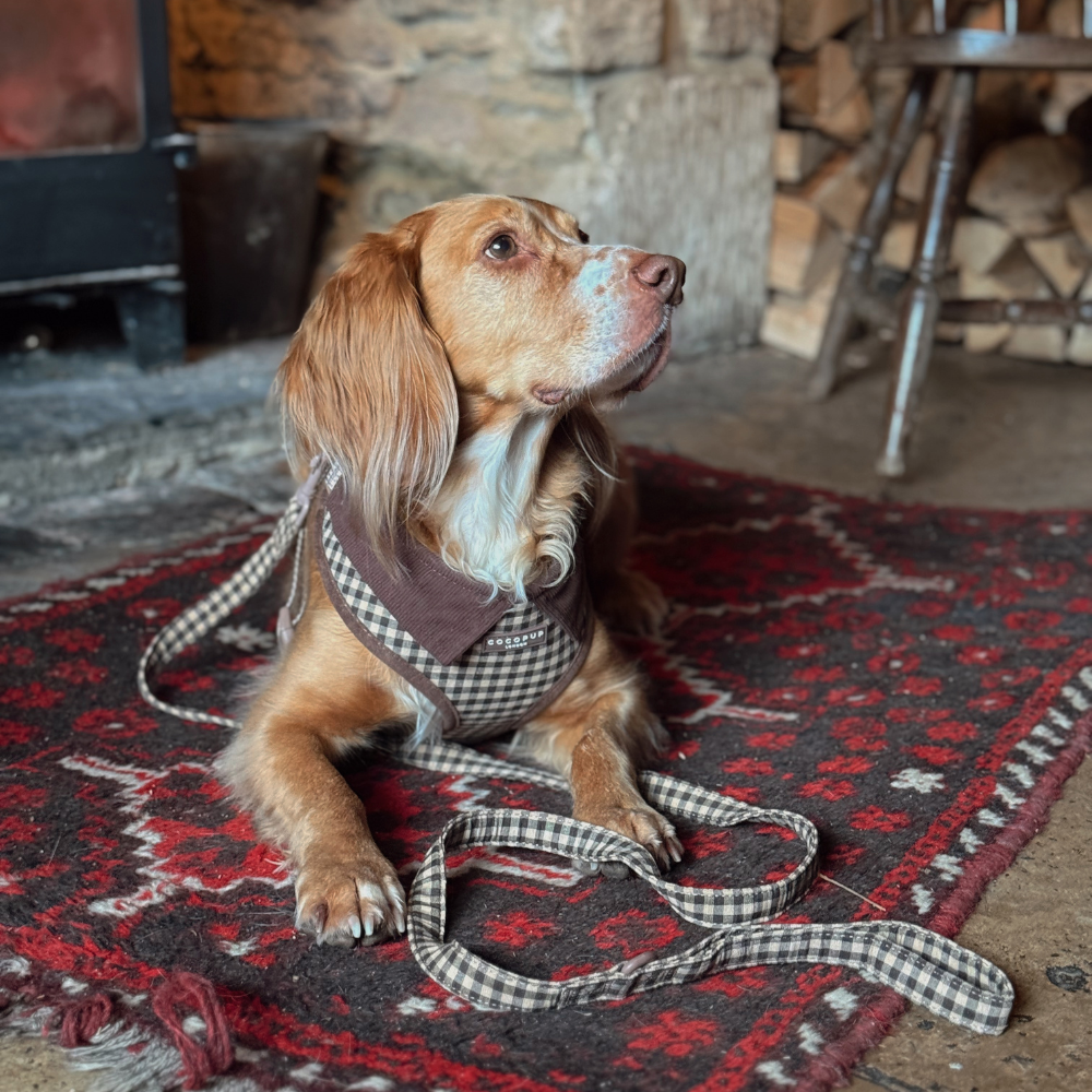 Stylish brown check designer dog lead by Cocopup London.