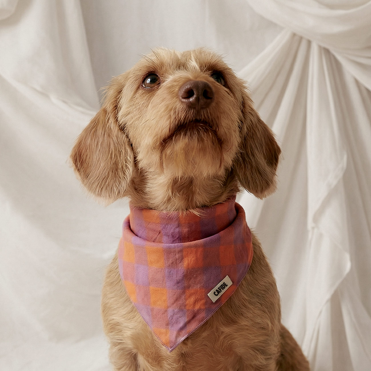 Soft cotton dog bandana featuring a classic violet gingham pattern.