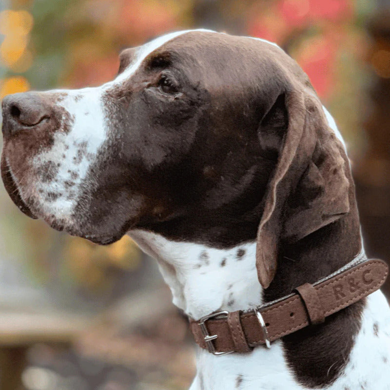 Luxury country style dog collar with brown herringbone tweed and nubuck leather