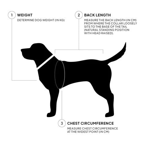 Diagram showing how to measure a dog for a collar, including weight, back length, and chest circumference.