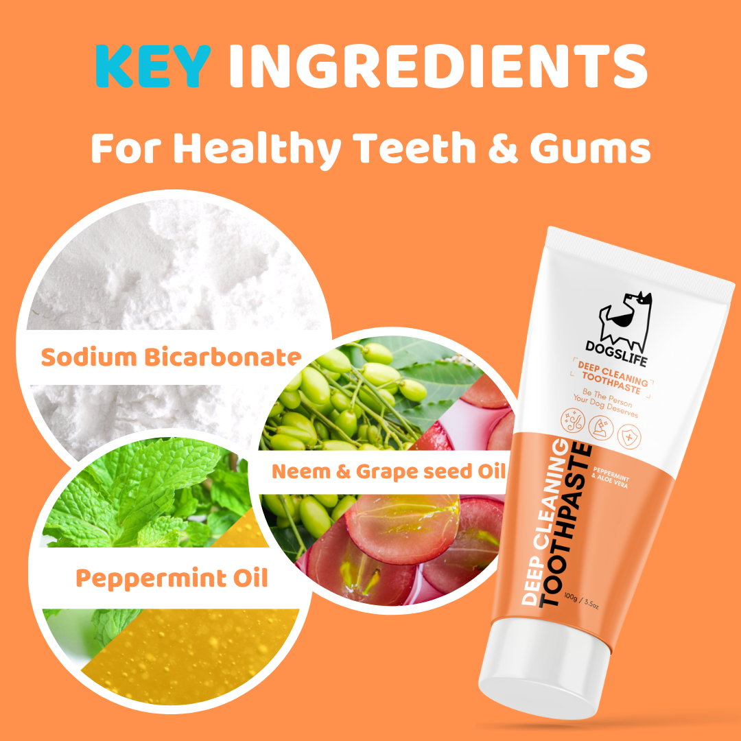 Doglife toothpaste with key ingredients for healthy teeth and gums on an orange background