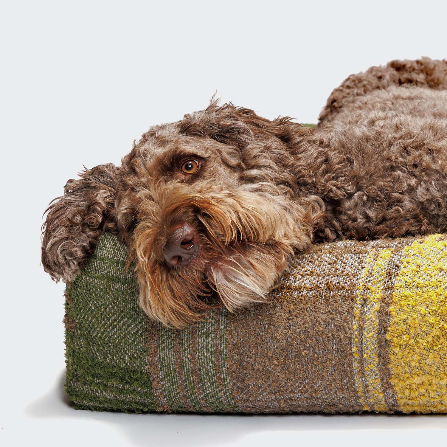 Cloud7 Dog Bed Cube Tartan Green suitable for modern and traditional homes.