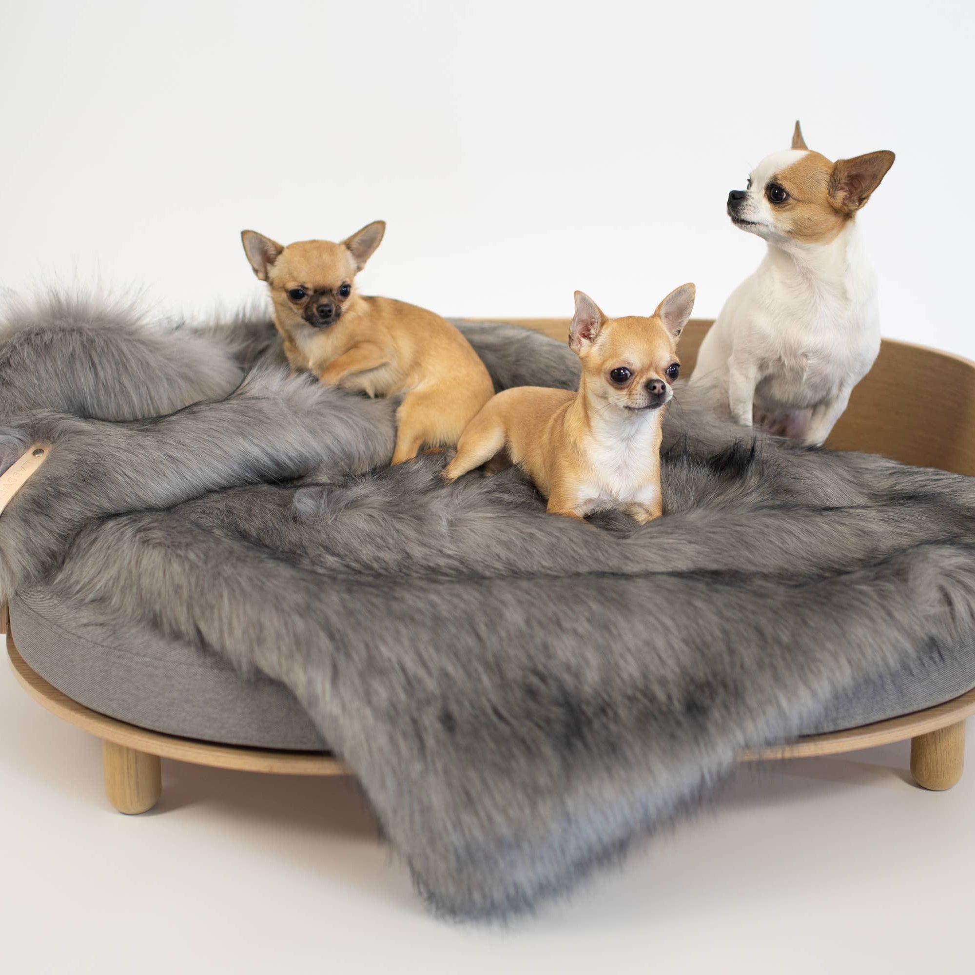 Soft Silver designer dog blanket by Labbvenn for stylish modern homes.