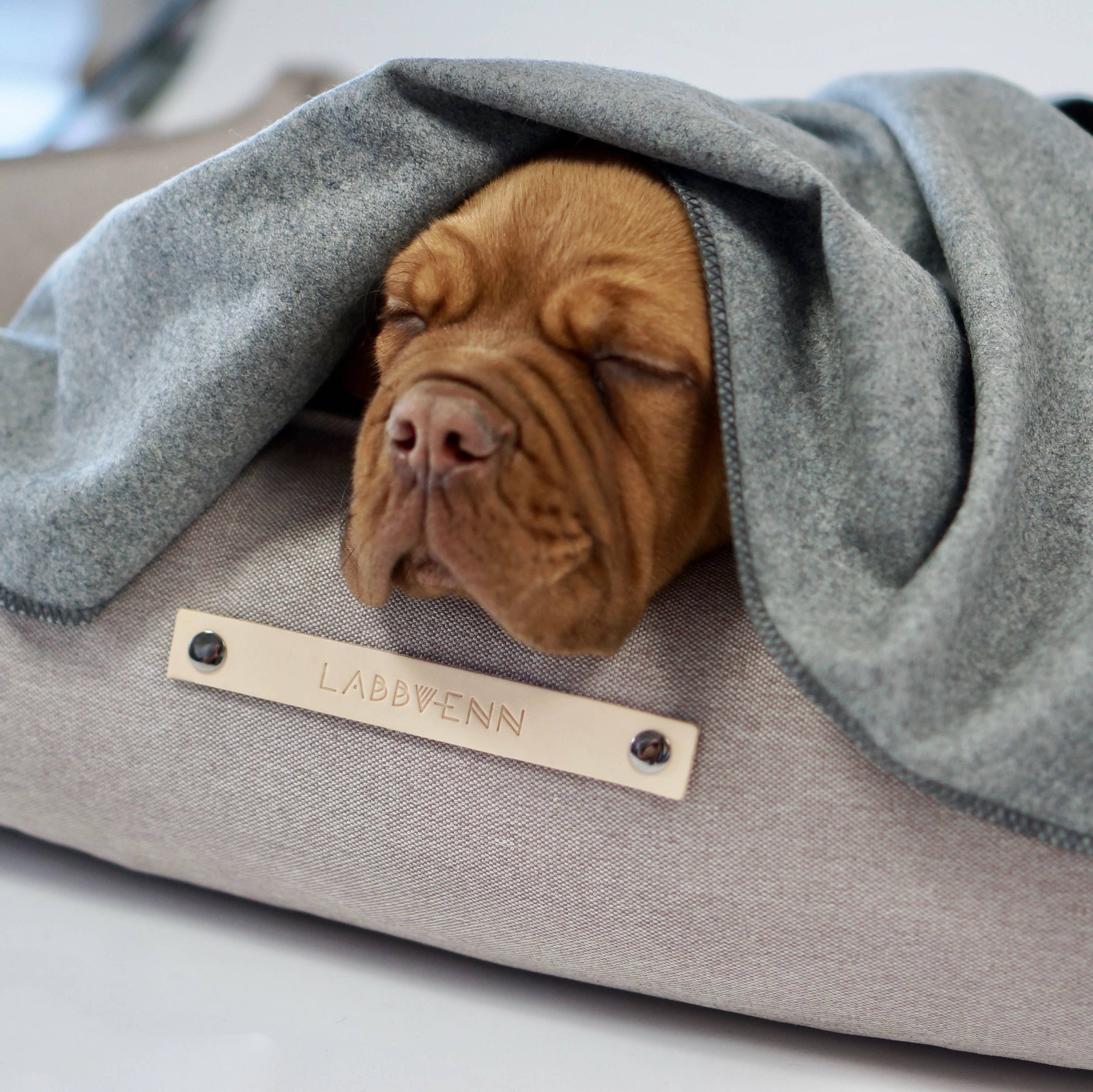 Contemporary Silver designer dog blanket for stylish modern interiors.