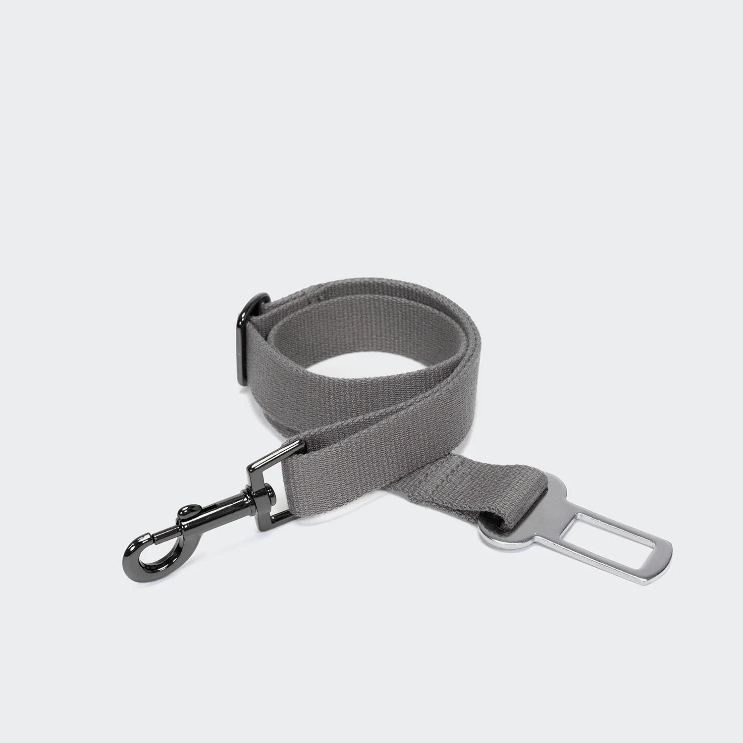 Gray dog leash with metal clip on a light gray background