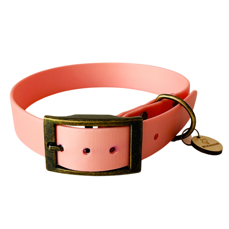 Pink dog collar with a brass buckle on a white background