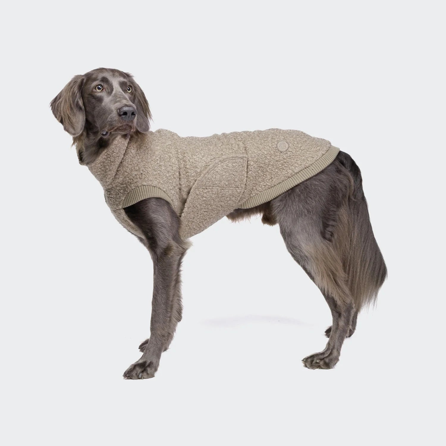 Cloud7 Gotland Sandy Brown dog sweater designed for warmth, comfort and everyday style.