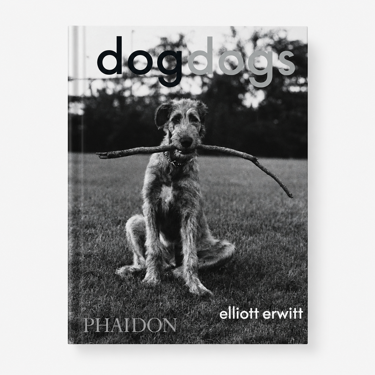 DogDogs hardback photography book by Elliott Erwitt featuring 500 iconic dog photographs.