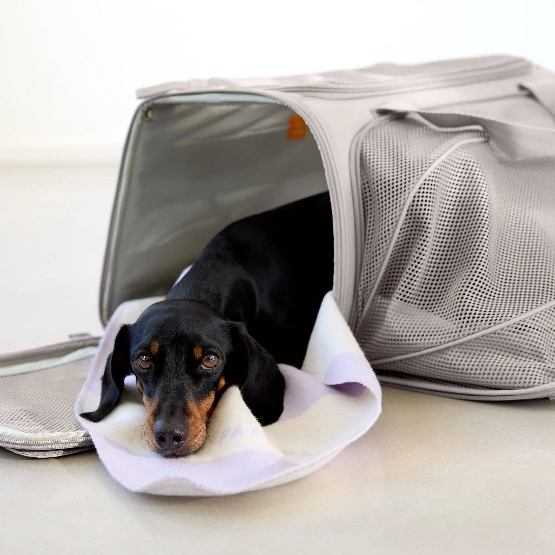 Luxury dog carrier bag with integrated safety leash, mesh ventilation and secure travel features.