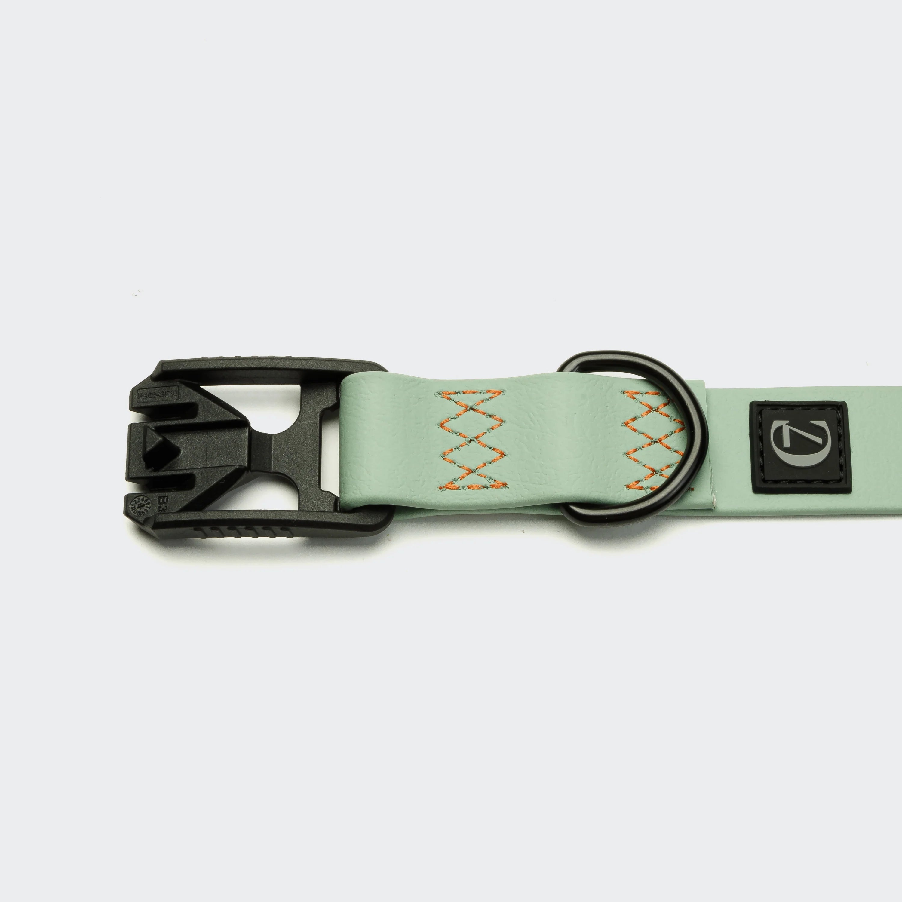 Light green dog collar with black buckle and embroidery on a white background