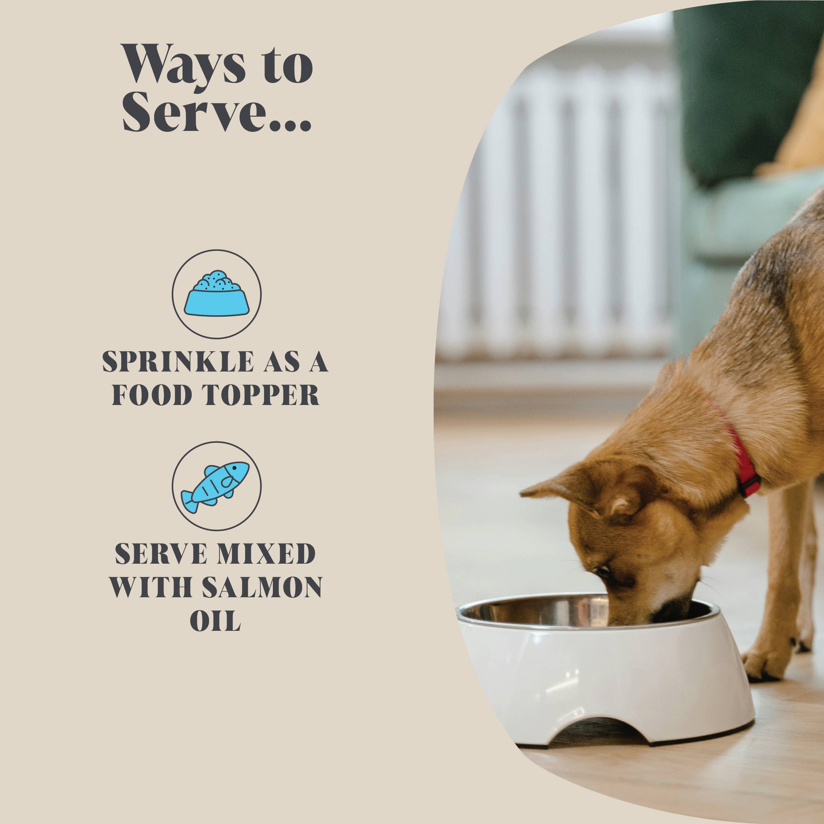 Hackney Dog House seaweed dental powder for dogs to support cleaner teeth and fresher breath.