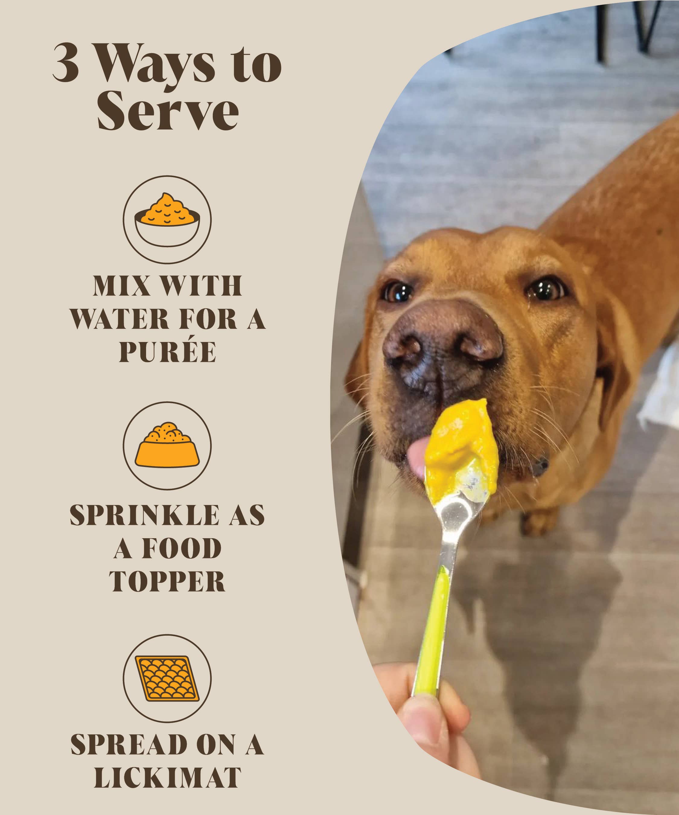 Hackney Dog House pumpkin probiotic food topper for dogs.