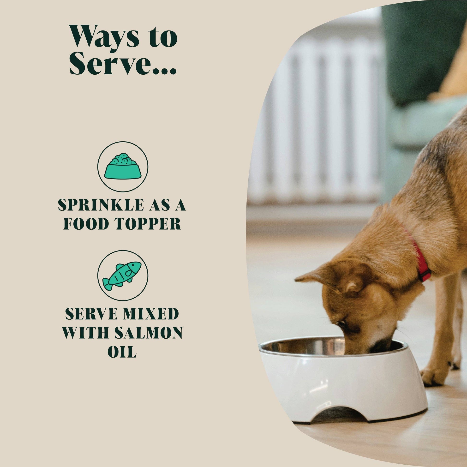 Hackney Dog House powdered green lipped mussel supplement for dogs.
