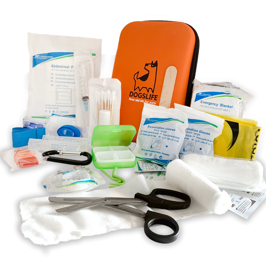 Dog first aid kit with various supplies on a white background