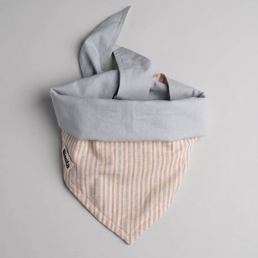 Stylish dog walking and play set with Siesta cotton bandana and fetch balls.