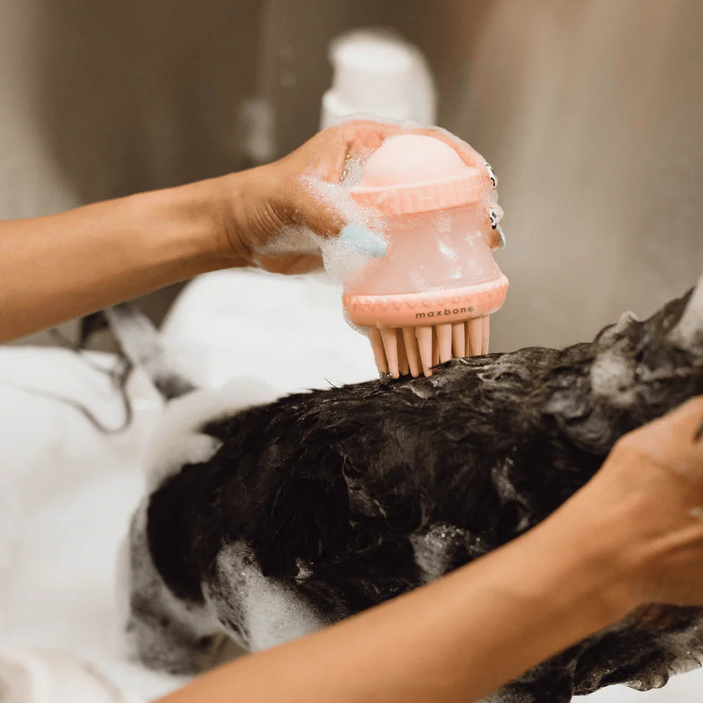 Person washing a black dog with a pink brush in a bathtub.