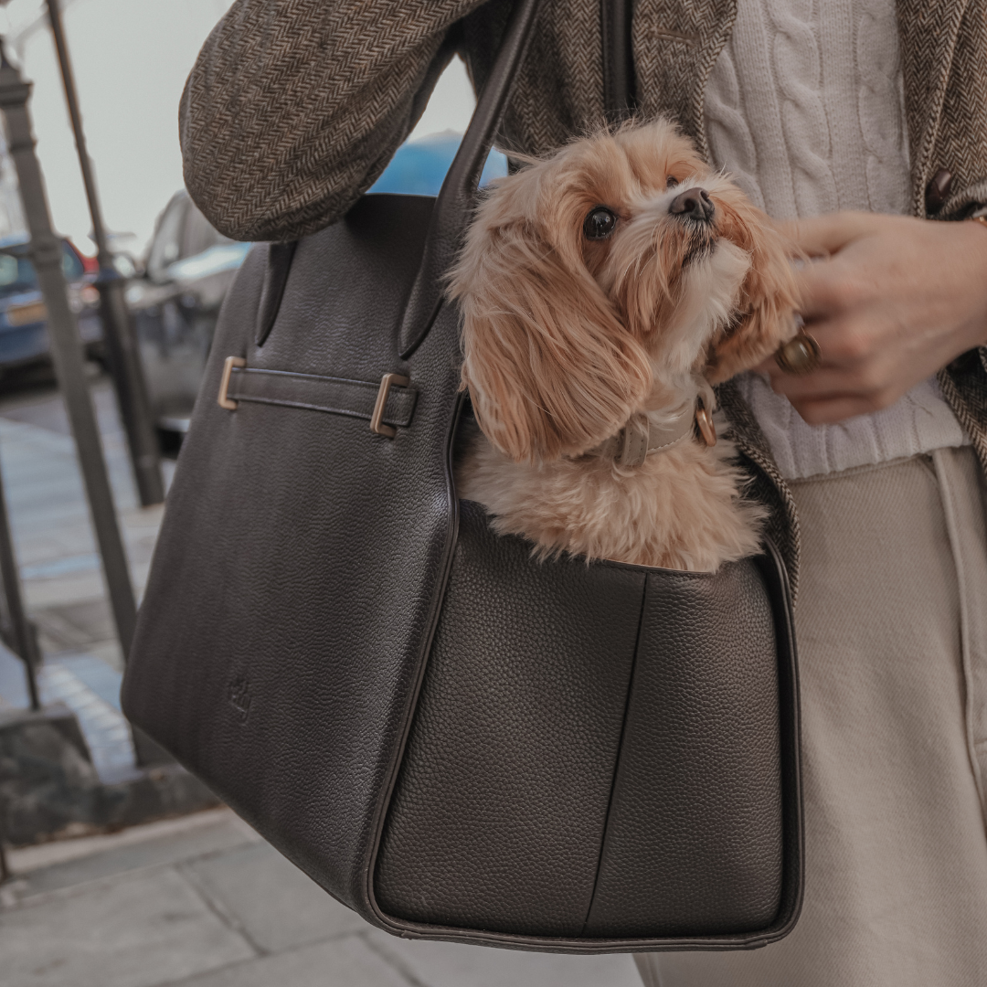 Luxury dog carrier 