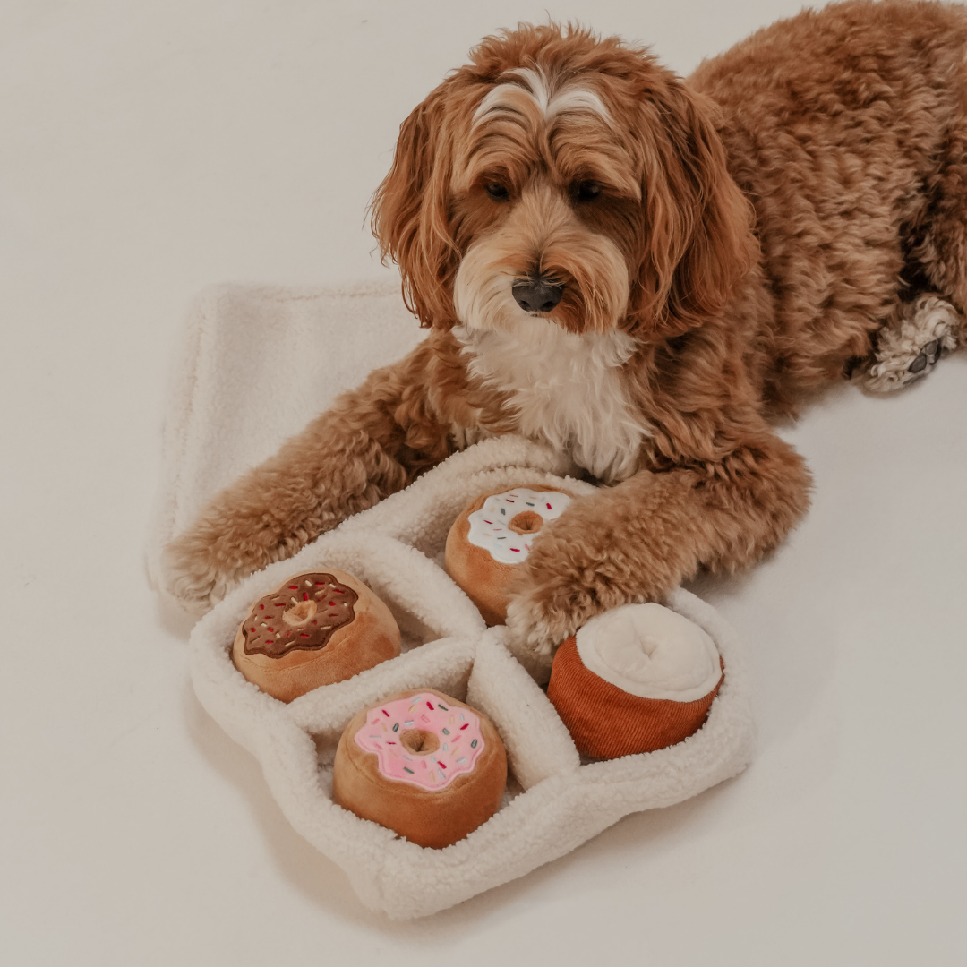 Donut Selection Box dog toy with four plush mini donuts