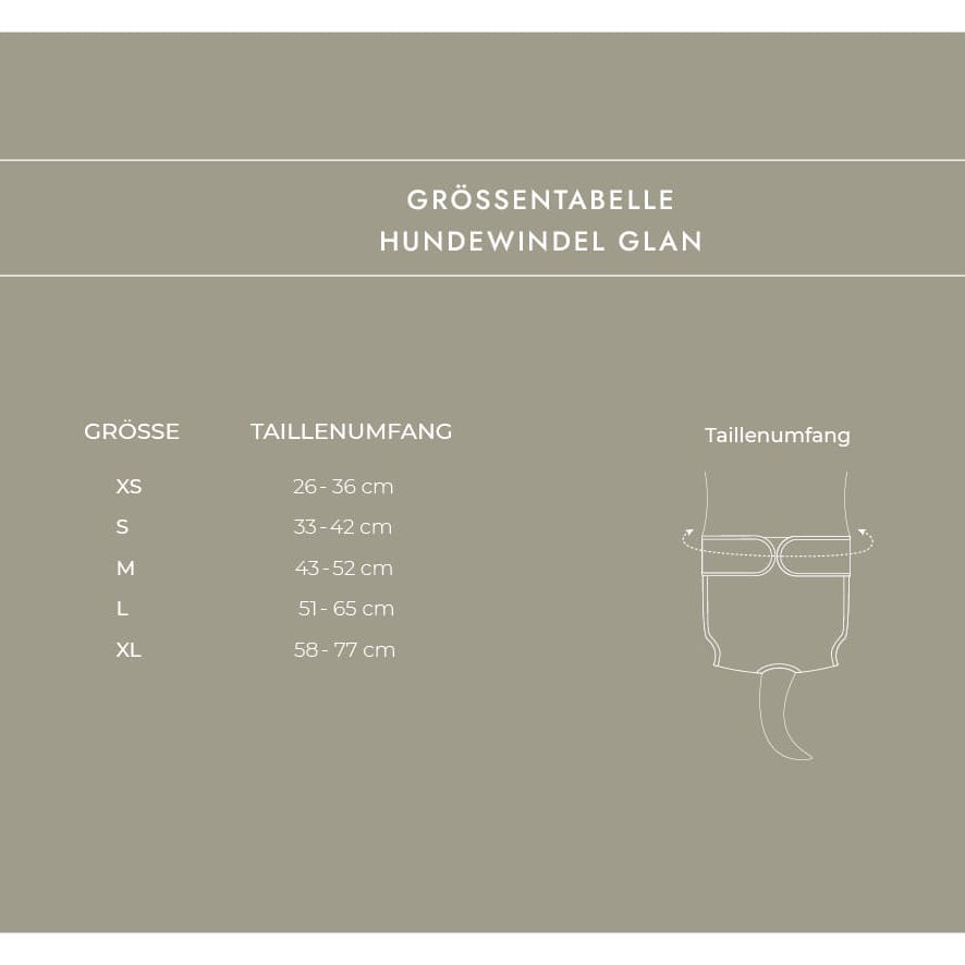 Size chart for dog diapers on a green background