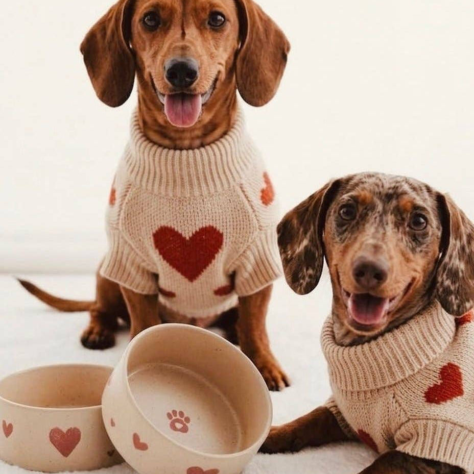 Handcrafted stoneware detail on the Egg Back Home Cozy Hearts pet bowl set