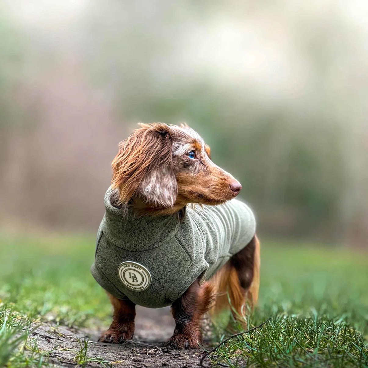 dog barn clothes for sausage dogs 