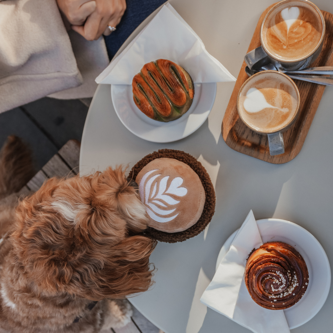 Flat white coffee cup shaped dog toy by By Teddy