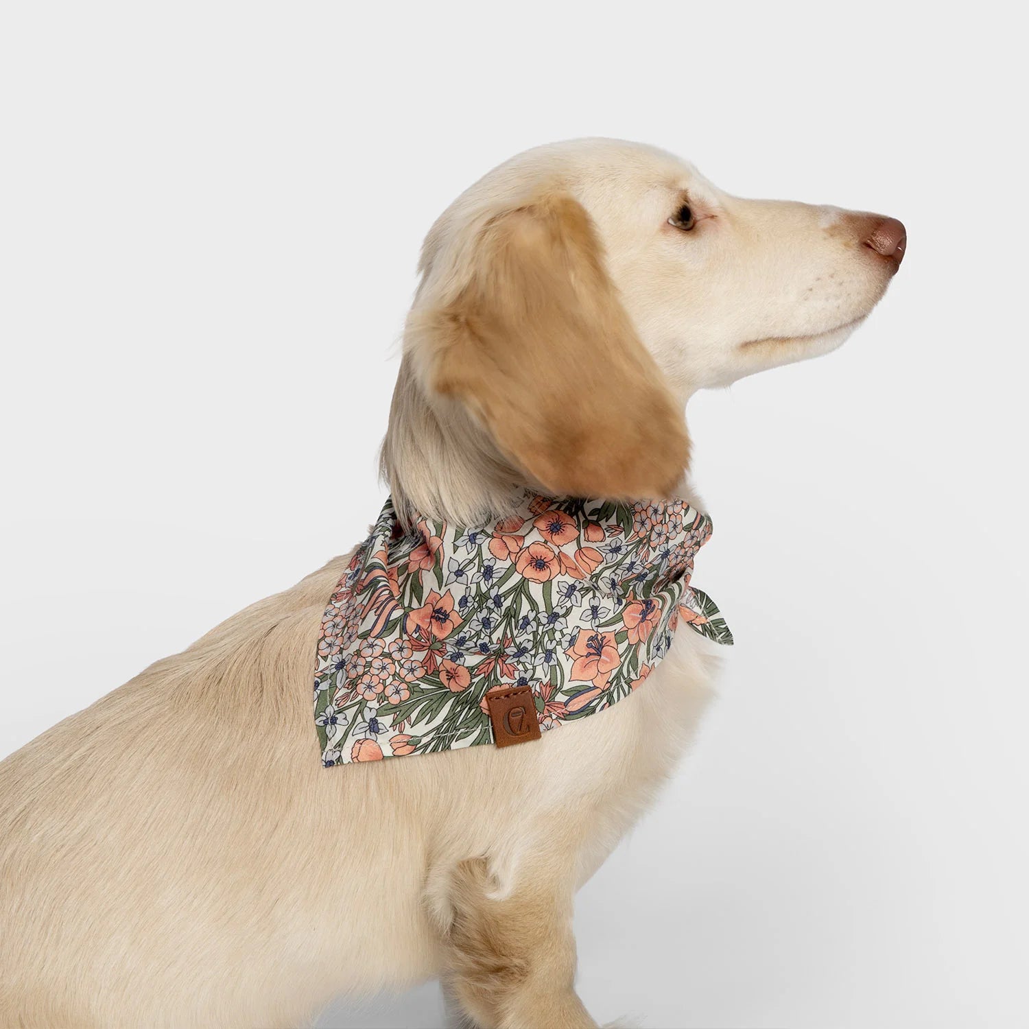 Cloud7 LTTL Blossoms dog bandana featuring a delicate floral print and lightweight cotton fabric.