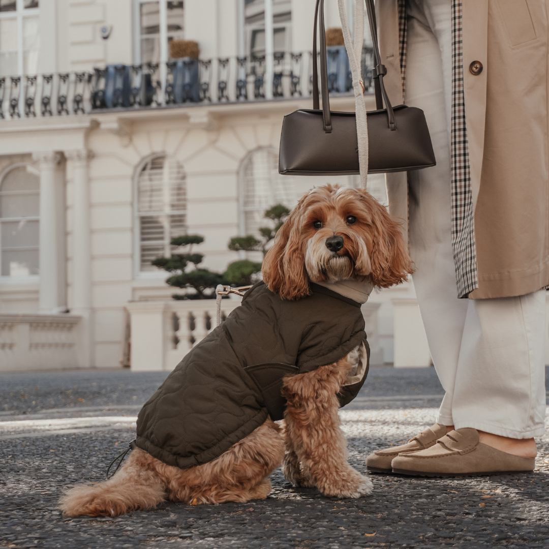 Forest green waterproof quilted dog coat by By Teddy