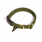 Green dog collar with gold buckle on a white background