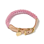 Pink braided dog collar with gold hardware on a white background