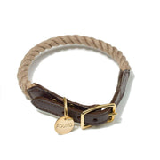 Dog collar with brown leather strap and gold buckle on a white background