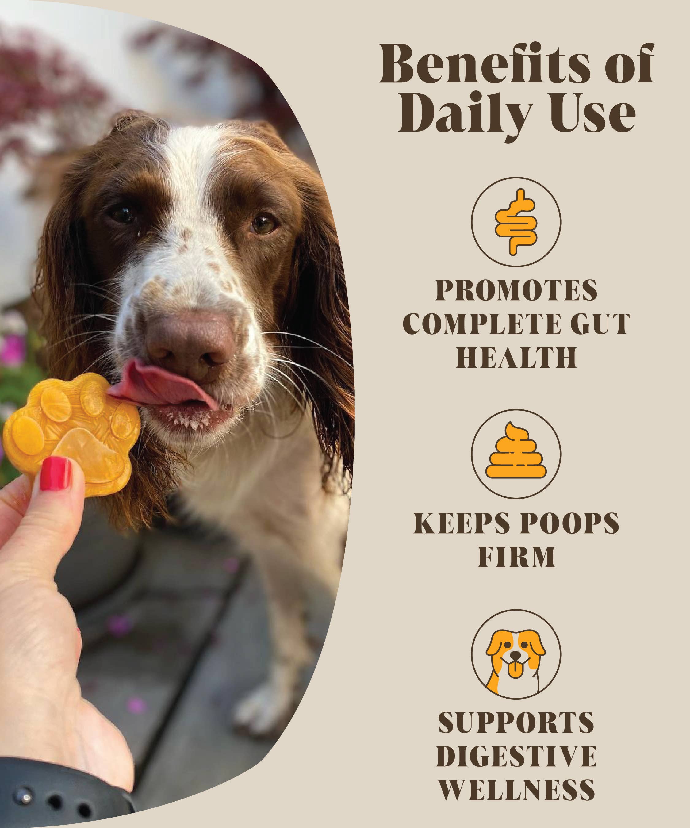 Hackney Dog House pumpkin probiotic food topper for dogs.