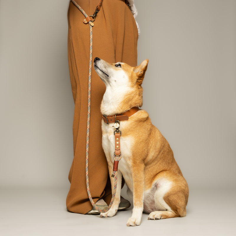Adjustable crossbody dog lead made from premium BioThane® and paracord.