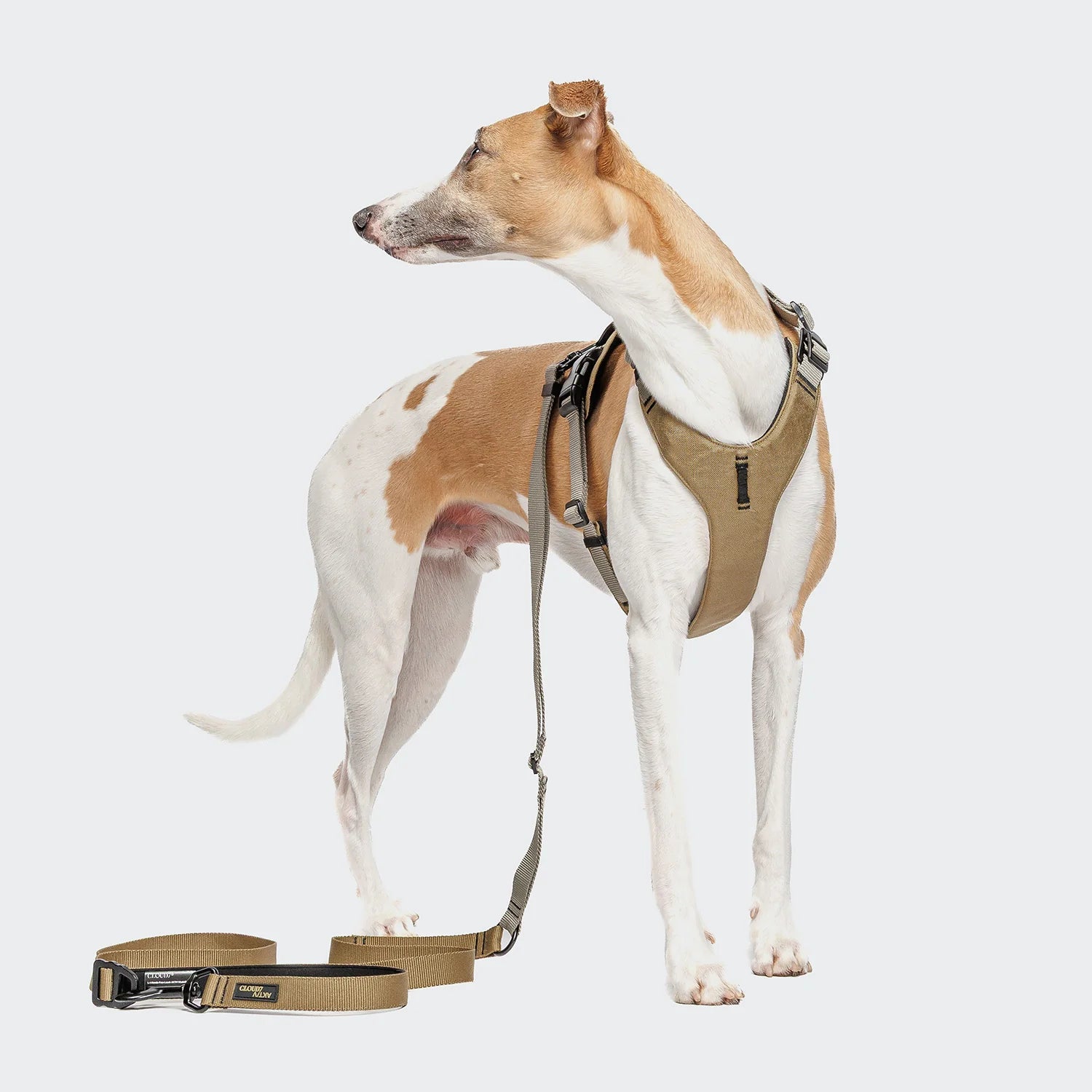 Cloud7 AKTIV dog lead designed for waist-worn, crossbody and handheld use.