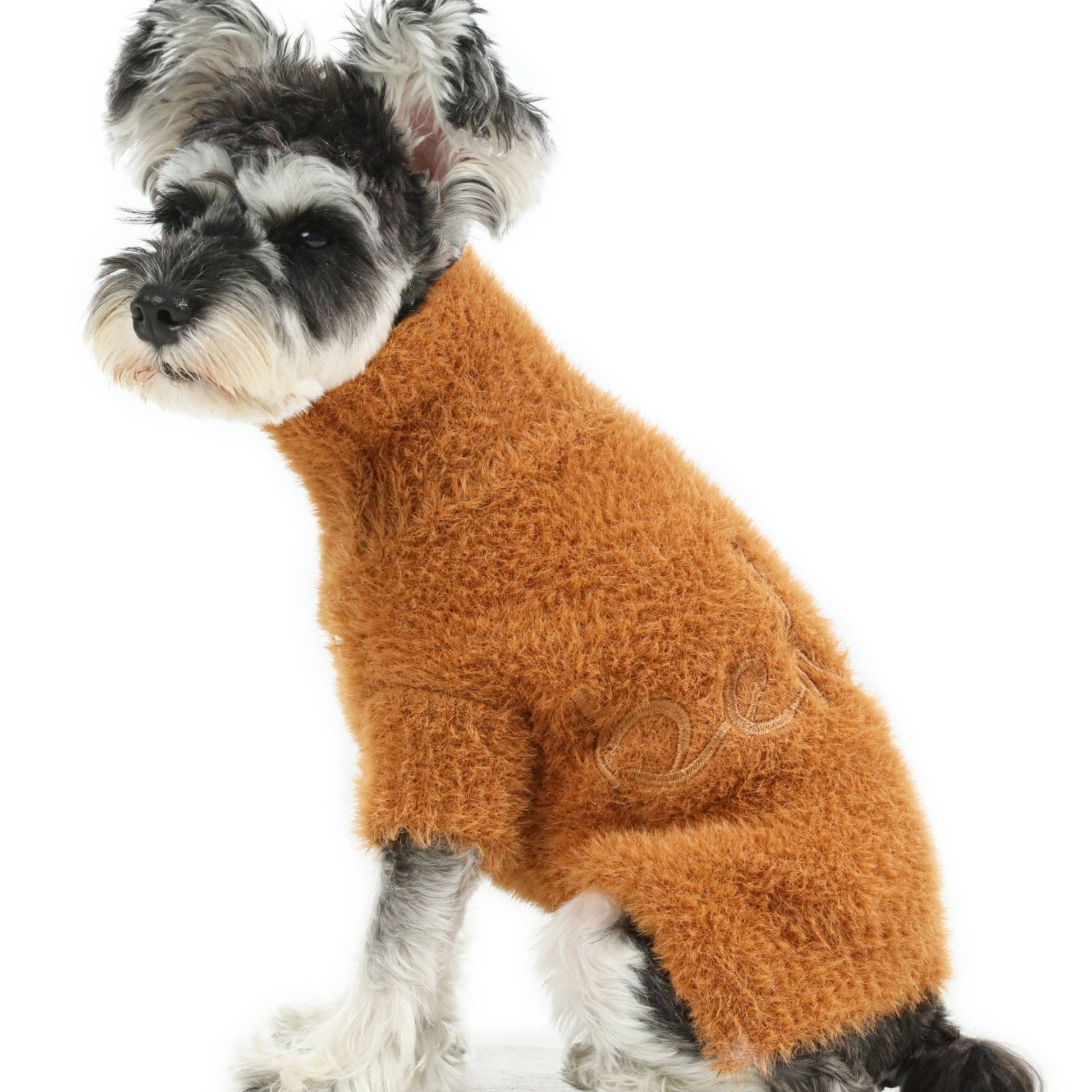 Small dog wearing a brown sweater on a white background