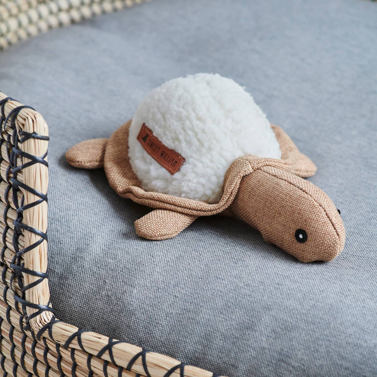 Dog playing with Sweet William Horatio the Turtle dog toy
