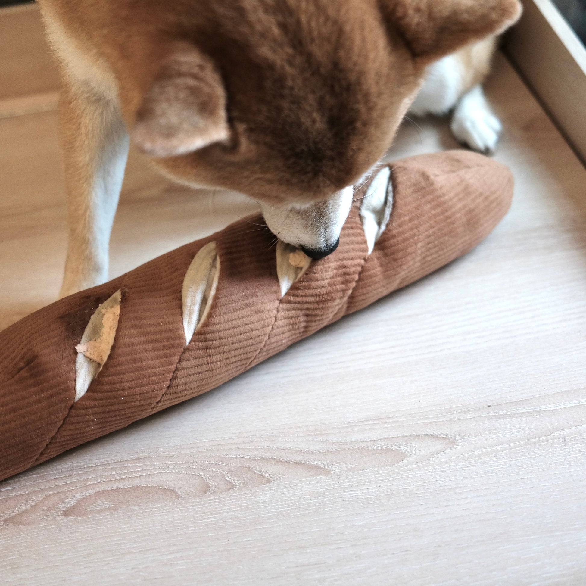Oversized baguette dog toy with crinkly bakery style paper bag