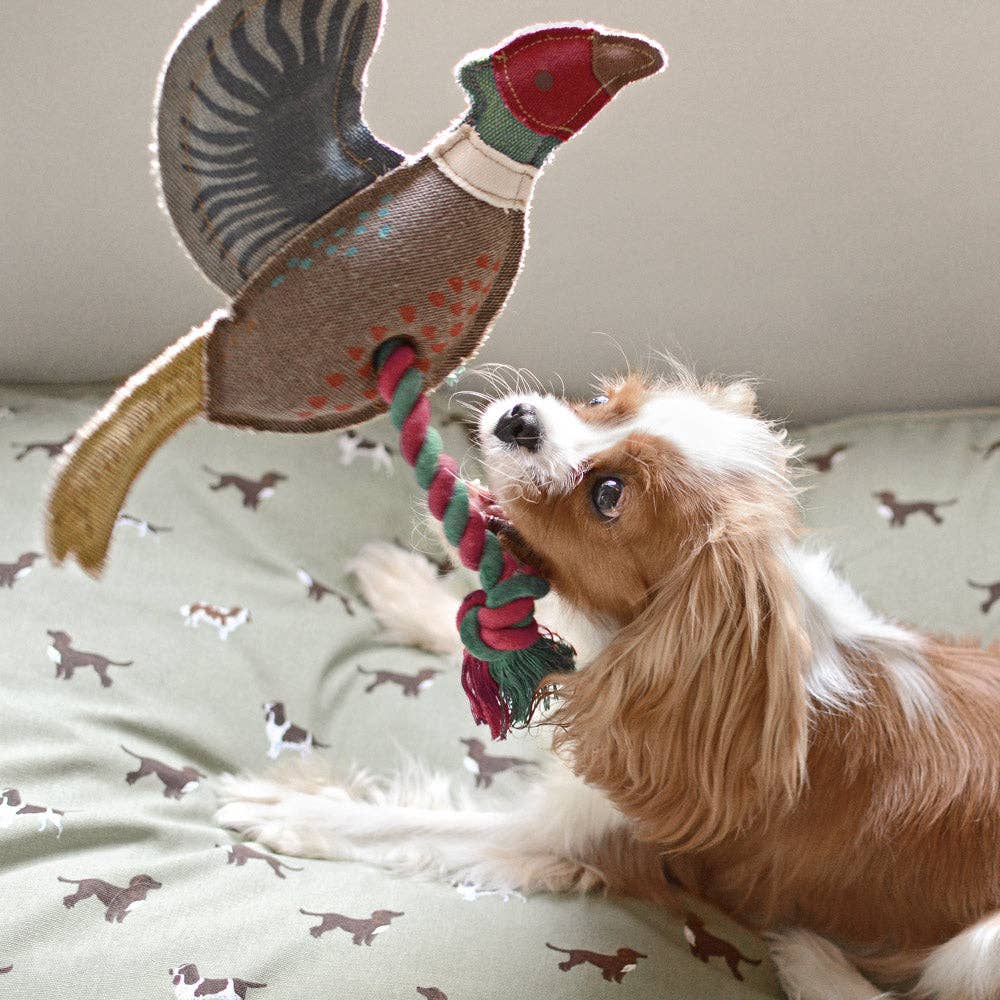 Plush pheasant dog toy designed for interactive play and fetching.