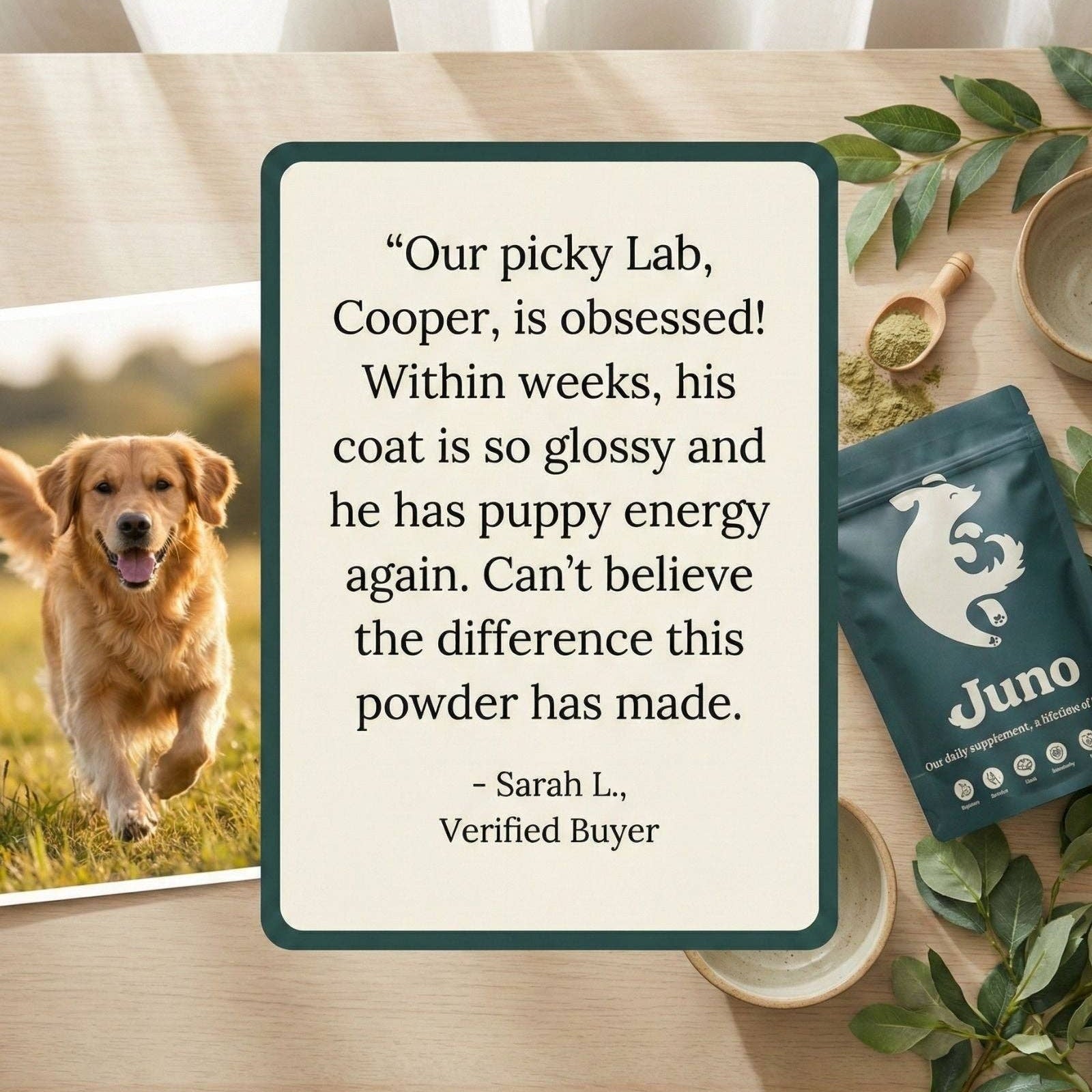 Juno Daily vet-formulated all-in-one powdered supplement for dogs.