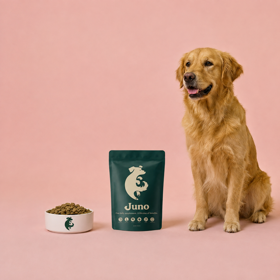 <a href="/collections/brand-juno-pets" title="Brand - Juno Pets">Juno Pets </a>