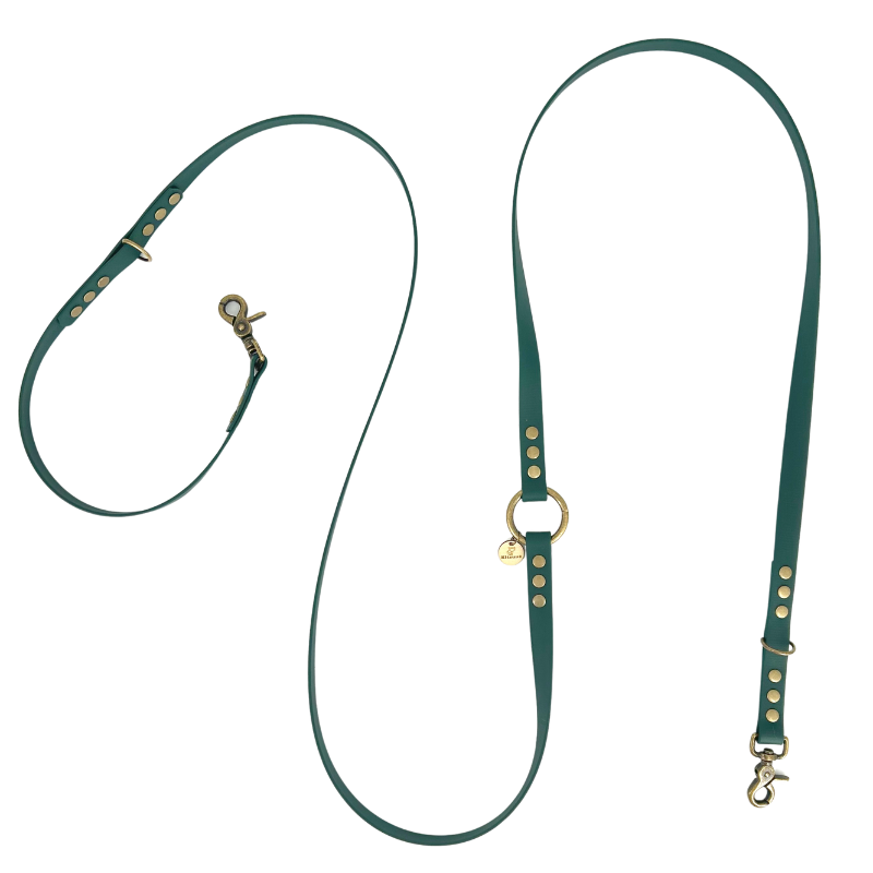 A dark green leather dog leash with gold-tone hardware, including brass studs, a metal ring, and a snap hook, displayed on a clean white background.