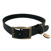 Black leather dog collar with brass buckle on a white background