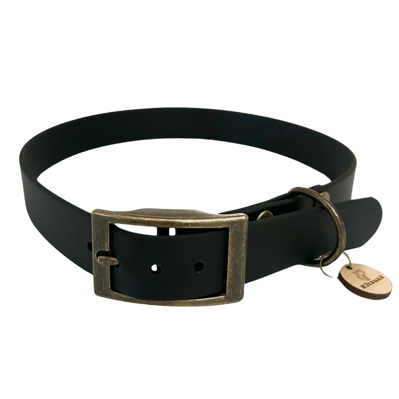 Black leather dog collar with brass buckle on a white background