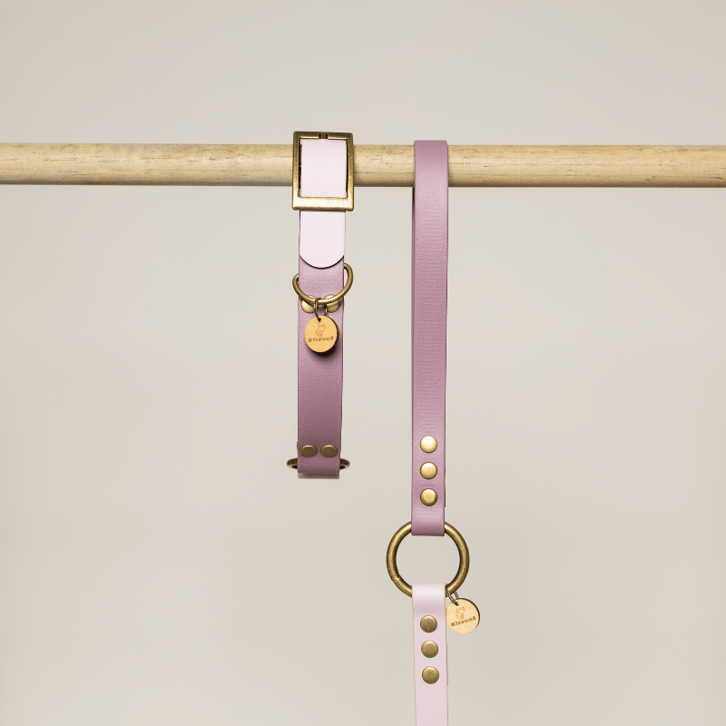 Handmade Kitsunē bi-colour BioThane® dog lead in mauve and violet.